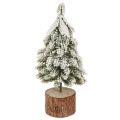 Floristik24 Mini albero di Natale base in legno verde bianco Ø8cm H18cm 3 pezzi
