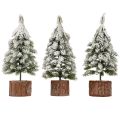 Mini albero di Natale base in legno verde bianco Ø8cm H18cm 3 pezzi | Floristik24.it