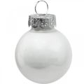 Floristik24 Mini palline di Natale in vetro bianco lucido/opaco Ø2,5cm 24p