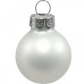 Floristik24 Mini palline di Natale in vetro bianco lucido/opaco Ø2,5cm 24p