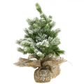 Floristik24 Mini albero di Natale in un sacco nevoso Ø25cm H42cm