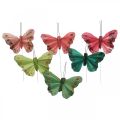 Floristik24 Mini farfalla su filo rosso, verde 6,5cm 12pz