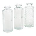 Floristik24 Mini vasi vasi bottiglia decorativi in vetro Ø5cm H13cm 3 pezzi