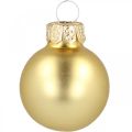Floristik24 Mini palline di Natale in vetro oro Ø2,5cm 24pz
