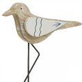 Floristik24 Gabbiano in legno, decorazione marittima, uccello costiero Shabby Chic, blu e bianco H25cm