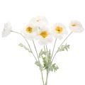 Floristik24 Papavero artificiale, bianco, stelo lungo, 78 cm, 3 pezzi