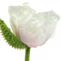 Floristik24 Papavero artificiale, fiore di seta bianco-rosa L55/60/70cm set di 3