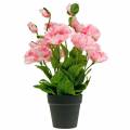 Floristik24 Papavero orientale, fiore artificiale, papavero in vaso rosa