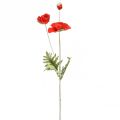 Floristik24 Fiore decorativo da giardino papavero con 3 fiori rossi L70 cm