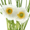 Floristik24 Poppy White in the grass 23cm