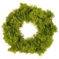 Floristik24 Ghirlanda di muschio artificiale, decorativa per tavolo o porta, 28 cm