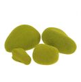 Floristik24 Le pietre di muschio mescolano il verde 5,5-13 cm 12 pezzi