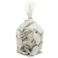 Floristik24 Mix di conchiglie con perle e legno bianco 200g