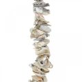 Floristik24 Ghirlanda con conchiglie, decorazione marittima, estiva, collana di conchiglie colori naturali L130cm