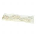 Floristik24 Ghirlanda di conchiglie con perle bianche 100 cm