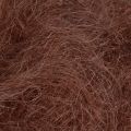 Floristik24 Erba di sisal in fibra naturale per l&#39;artigianato Erba di sisal marrone 300g