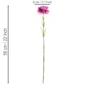 Garofani artificiali, bicolore, stelo lungo 56 cm, mazzo da 8 | Floristik24.it