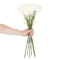 Garofano artificiale con stelo per bouquet e ghirlande, 56 cm, 8 pezzi | Floristik24.it