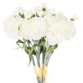 Floristik24 Bouquet di garofani artificiali, fiori artificiali bianchi, decorazione, 4 mazzi