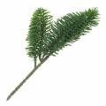 Floristik24 Nobilis ramo di abete verde artificiale 24 cm 12 pezzi