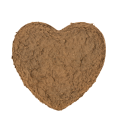 Spugna floreale a forma di cuore OASIS® Renewal® Spugna floreale Biolit® 26 cm 2 pezzi | Floristik24.it