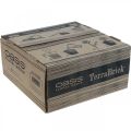 OASIS® TerraBrick™ composto plug-in compostabile 8pz