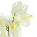 Floristik24 Crema di orchidee artificiali 50 cm 6 pezzi