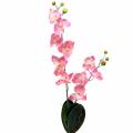 Floristik24 Orchidea Phalaenopsis rosa artificiale 60cm