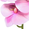 Floristik24 Orchidea Phalaenopsis artificiale 8 fiori rosa 104 cm