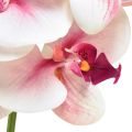 Floristik24 Orchidea Phalaenopsis artificiale 9 fiori bianco fucsia 96 cm