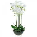 Floristik24 Orchidee artificiali in vaso pianta artificiale bianca 63cm
