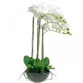 Floristik24 Orchidee artificiali in vaso pianta artificiale bianca 63cm
