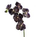 Floristik24 Orchidea Vanda viola artificiale L 44cm