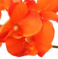 Floristik24 Ramo di orchidea arancione 61 cm