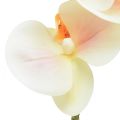 Floristik24 Orchidea artificiale Phalaenopsis crema arancione 78 cm