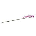 Floristik24 Ramo di orchidea bianco-rosa L58cm