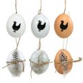 Floristik24 Decorazione pasquale, uova di gallina da appendere, uova decorative con piume e gallina, marrone, blu, bianco, set da 6