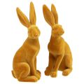Floristik24 Figura decorativa del coniglio pasquale Coniglio pasquale al curry giallo H12,5 cm 2 pezzi