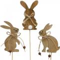 Floristik24 Coniglietto pasquale su bastoncino deco plug coniglio legno decorazione pasquale naturale 24 pezzi