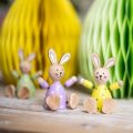 Floristik24 Coniglietti pasquali colorati coniglietti in legno decorazione da tavolo punteggiata H8cm 4 pezzi
