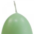 Floristik24 Candele pasquali a forma di uovo, candele a uovo Pasqua verde Ø4,5 cm H6 cm 6 pezzi