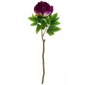 Floristik24 Paeonia, fiore di peonia artificiale Pink Peonie Ø11cm L45cm