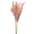Floristik24 Erba di pampa essiccata fiori rosa secca 65-75 cm 6 pezzi in mazzo
