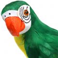 Floristik24 Deco Parrot Green 44cm