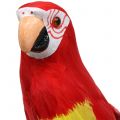 Floristik24 Deco pappagallo rosso 44 cm