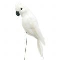 Floristik24 Pappagalli con piume bianche Uccello decorativo cacatua artificiale 4 pezzi