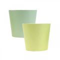 Floristik24 Vaso di carta, mini vaso per piante, cachepot blu/verde Ø9cm H7.5cm 4pz