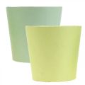 Floristik24 Cachepot di carta, fioriera, vaso per piantare blu/verde Ø13cm H12.5cm 4pz