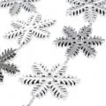 Floristik24 Ghirlanda decorativa fiocchi di neve argento 270cm