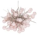 Floristik24 Spilli Testa Perla Rosa Ø10mm 60mm